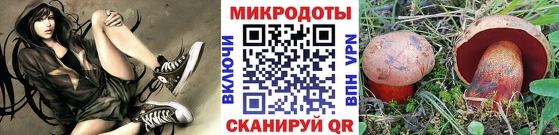 hydra зеркало  Алагир  Псилоцибиновые грибы Psilocybe 